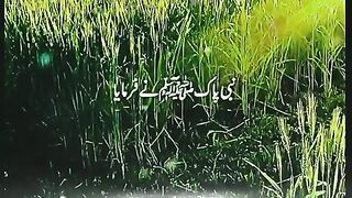 islamicvideo