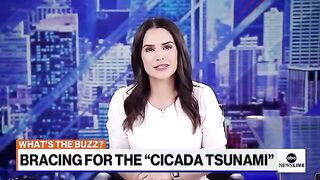 "Cicada tsunami": Millions of cicadas to emerge from ground in US