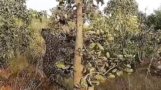 Have you been in this kind of life challenge