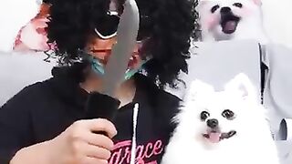 جميل مضحك