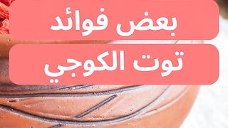 بعض فوائد توت الكوجي_Some Benefits Of Goji Berries