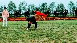 Super interesting circus virual shorts video  viral video short