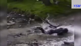 Try not to laugh ❤️