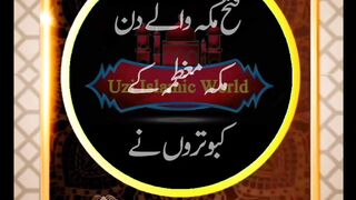 جب کبوتروں نے آپ صلی امیر تیم پر سایہ کیا ؟ #