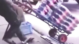 Drunk cat