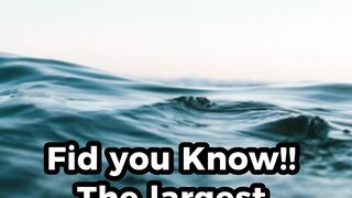 The largest Pacific Ocean in the world