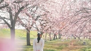 Cherry blossom