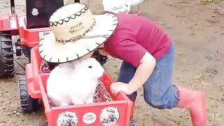 Watching This Kid Transport His Animals