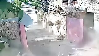 Chinese funny  video