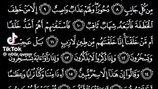 القرأن الكريم
