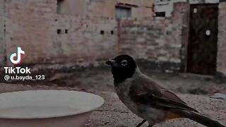 احاديث النبي صلى الله عليه وسلم