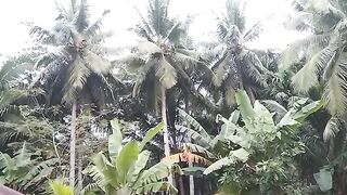 SIFAT-LIAR-ELANG-BAGONG-KELUAR-GARA-GARA-JATAH-MAKANYA-DI-REBUT-AYAM