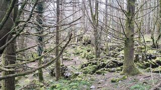 Naturaleza €suscrbete