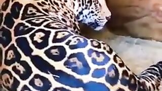 Another forbidden boop