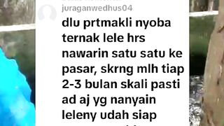 Ini satu bukti bahwa PEMASARAN ikan lele butuh waktu dan perjuangan