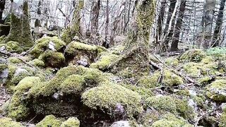 Paisajes Nature//suscripción ????????