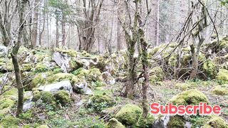 blogs &Nature, montaña, trend //suscripción ????