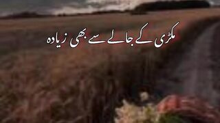 Deepline status_makri ke jaloo _shorts_