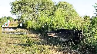 This unit aka the last thing a cat in Florida ever sees