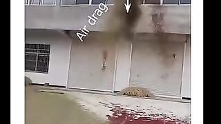 فيزياء الكون