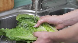Washing a lettuce in the kitchen