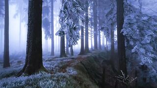Touched by the cold!#frozen #got #gameofthrones #allgäu..#HelloFrom