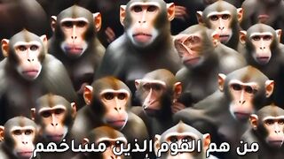 ينشئ مدون الفيديو هذا مقاطع فيديو رائعة! تعال وشاهد!    https://k.kwai.com/u/@Md6090/v7QikmCx