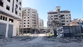 www.gaza.com