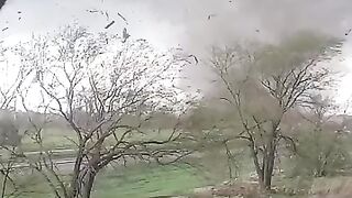 Tornado hits a train