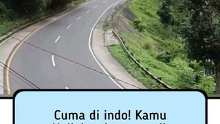 like F1