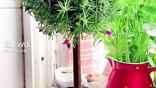 Very nice videos
