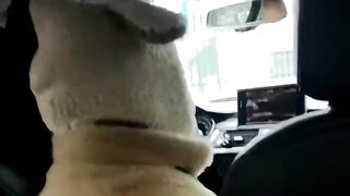 Interesting video