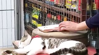 Interesting video