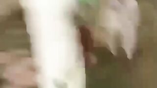 Funny video for u ????????????