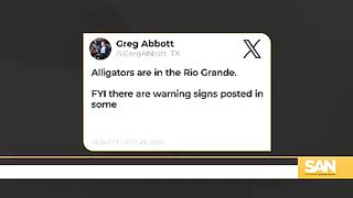 Texas Gov. Abbott warns migrants of alligators in Rio Grande