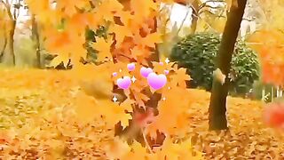status,status video,status song,status whatsap,beast song,good song,video,songs