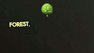 The Magic Dumbbell Quest