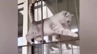 Я смеялся до слез