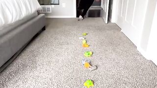 If Cleaning was a Timed sport