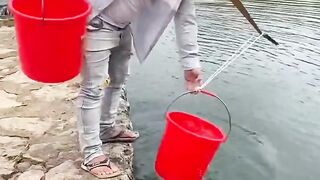 Best funny Video in 2024