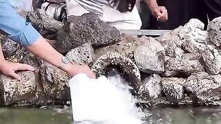 Y_wo_kunwan_hy_jis_kunwain_sy_rasol_Sa_ny_pani_pya_tha_jab_aap_makah_sy_madinah_hijrat_krky_aai_thy(480p).