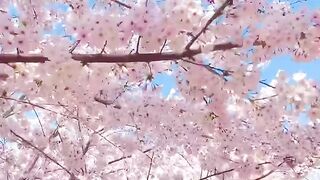 Natural video