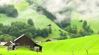 Natural video