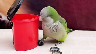 Intelligent bird