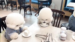 Coffee Time