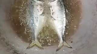 Penelitian Goreng Ikan