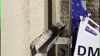 Seed Planting Machine