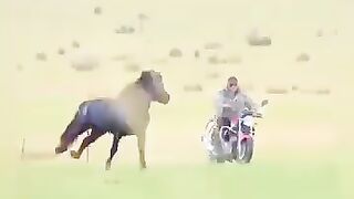 Gura Marka