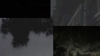 Nature capture????