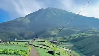 Pemandangan alam
